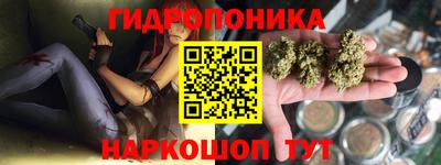 PSILOCYBIN Тверь