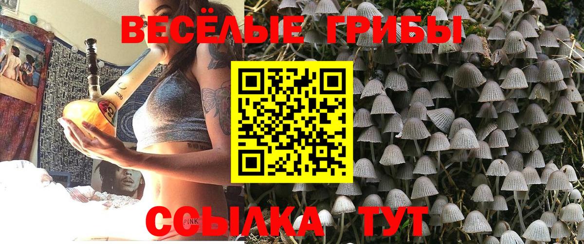 Протвино  Галлюциногенные грибы GOLDEN TEACHER  Вход с VPN 