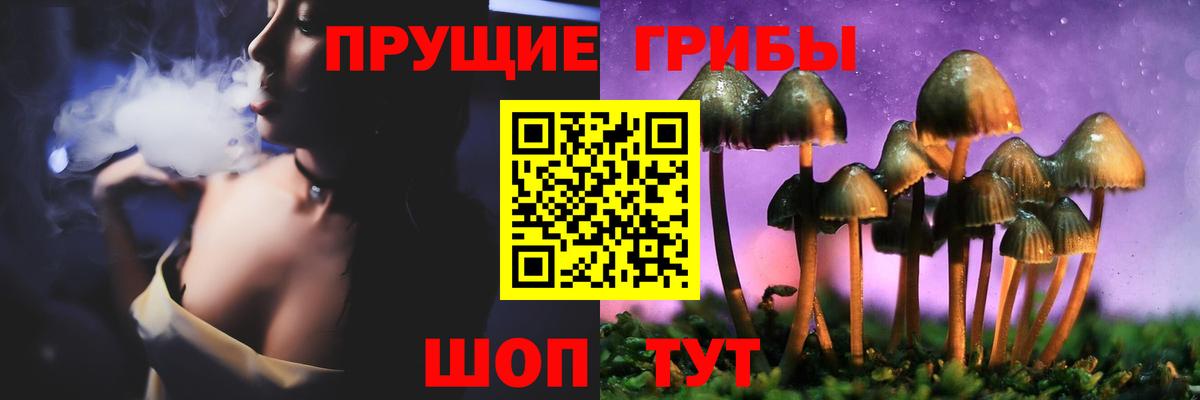 Галлюциногенные грибы GOLDEN TEACHER Протвино
